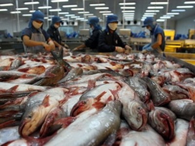 ປາຈາ ຂອງຫວຽດນາມ ຈັດເຂົ້າບັນຊີລາຍຊື່“ ມຸ້ງໄປເຖິງໃບຢັ້ງຢືນ ແບບຍື່ນຍົງ